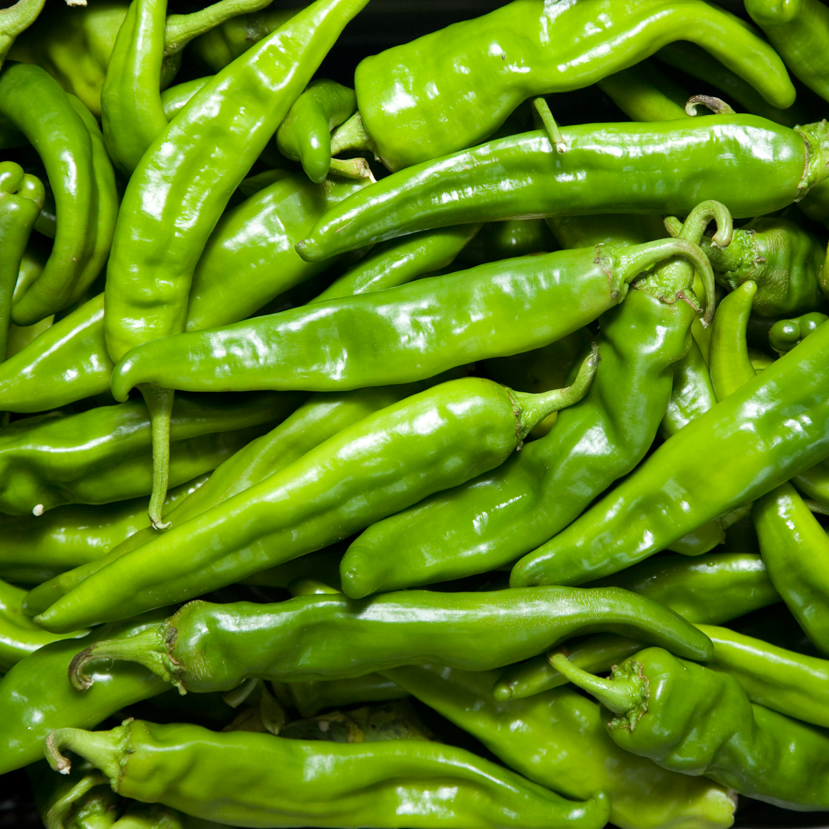 Hatch Green Chile Spice – The Hatch Chile Store