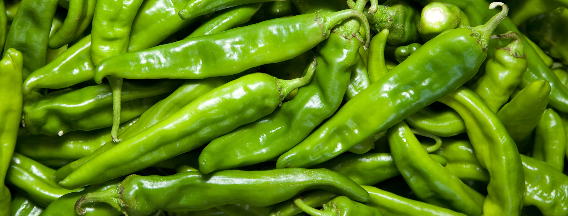 Hatch Green Chile - Hatch Chile from Hatch New Mexico – The Hatch Chile ...