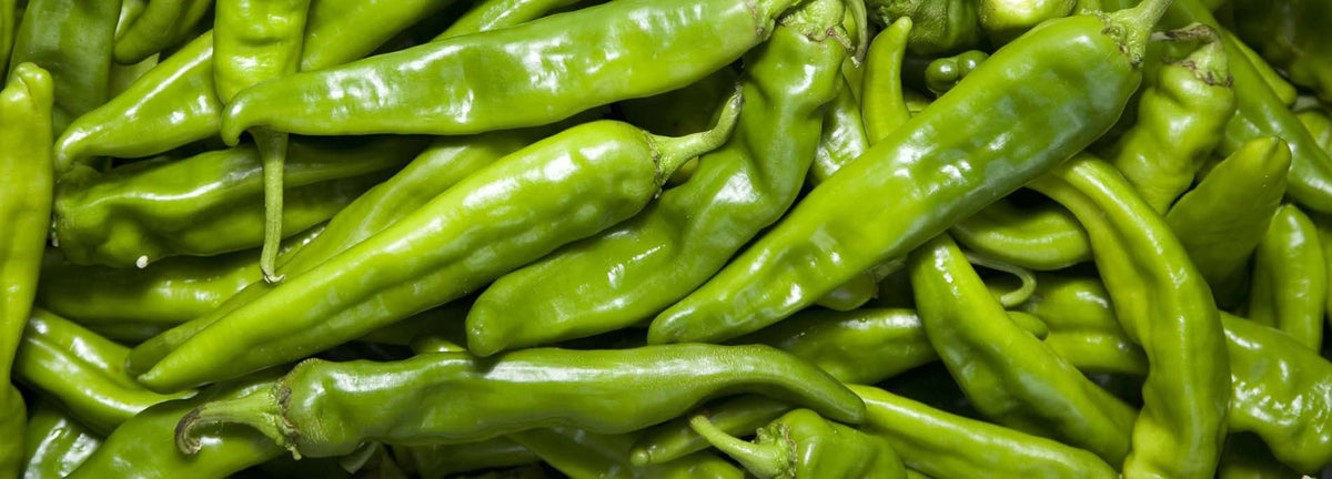 What is Hatch Chile? – The Hatch Chile Store