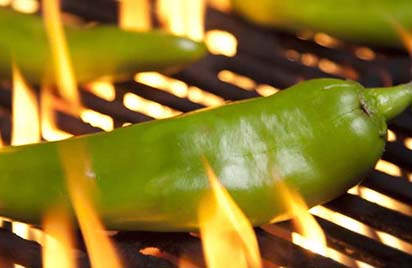 https://www.hatch-green-chile.com/cdn/shop/files/Roasted_Hatch_Chile_Banner_Mobile_1400x.jpg?v=1648815007