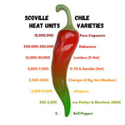 Pure Hatch Green Chile – The Hatch Chile Store