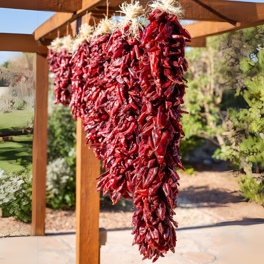 Traditional Chile Ristras