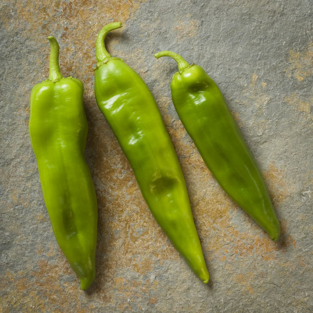 Hatch Green Chile Spice – The Hatch Chile Store