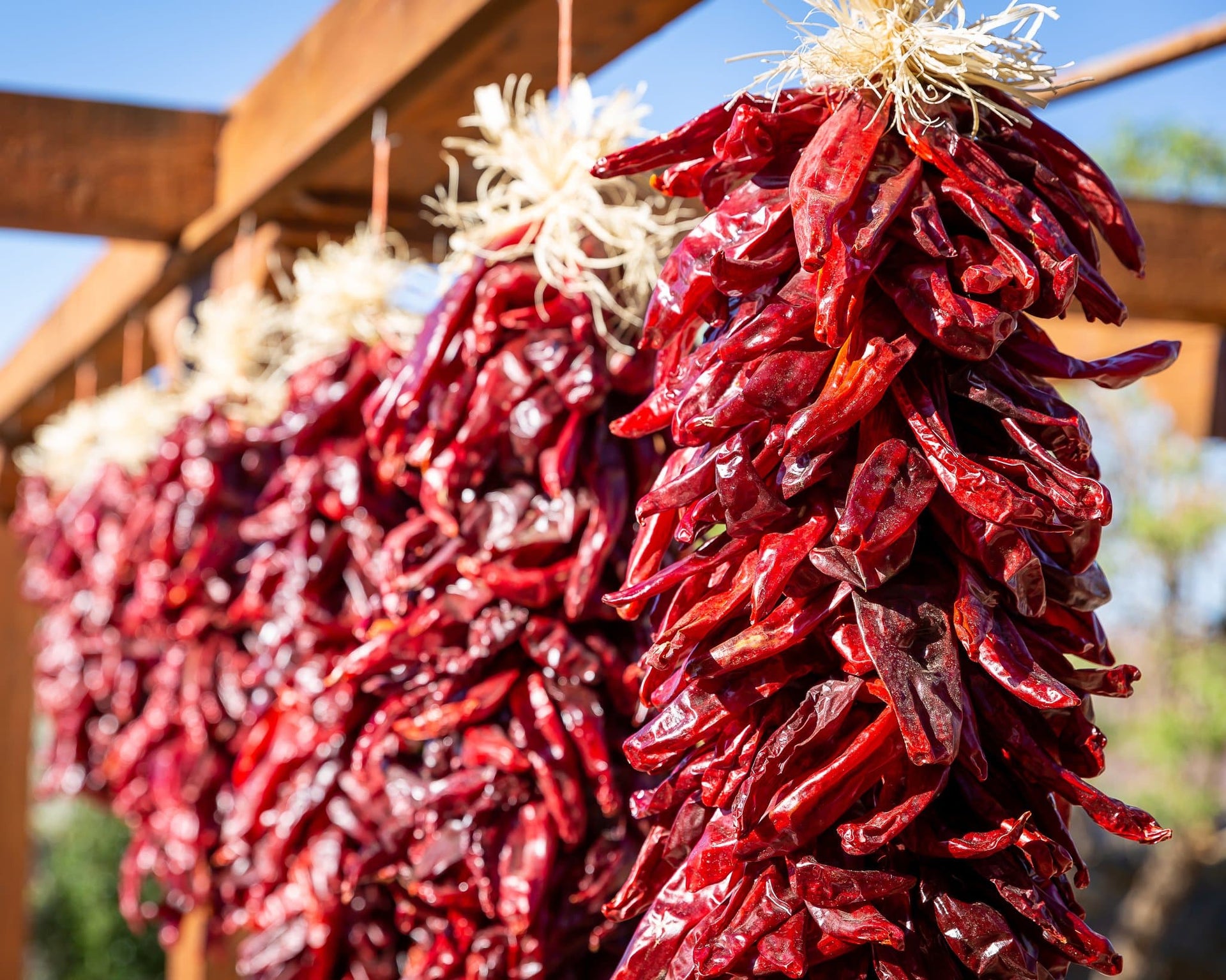 Ristras, Wreaths & Crosses From New Mexico – The Hatch Chile Store